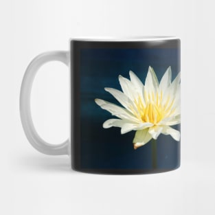 White and Yellow Water Lily Mug